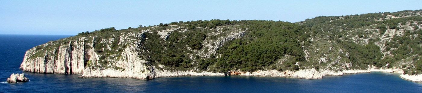 Adriatica Transfer