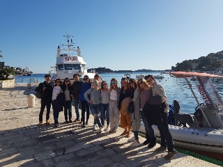 boat tours split