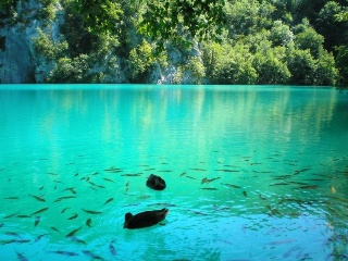Plitvice Lakes sightseeing 