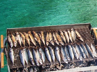 griled fish