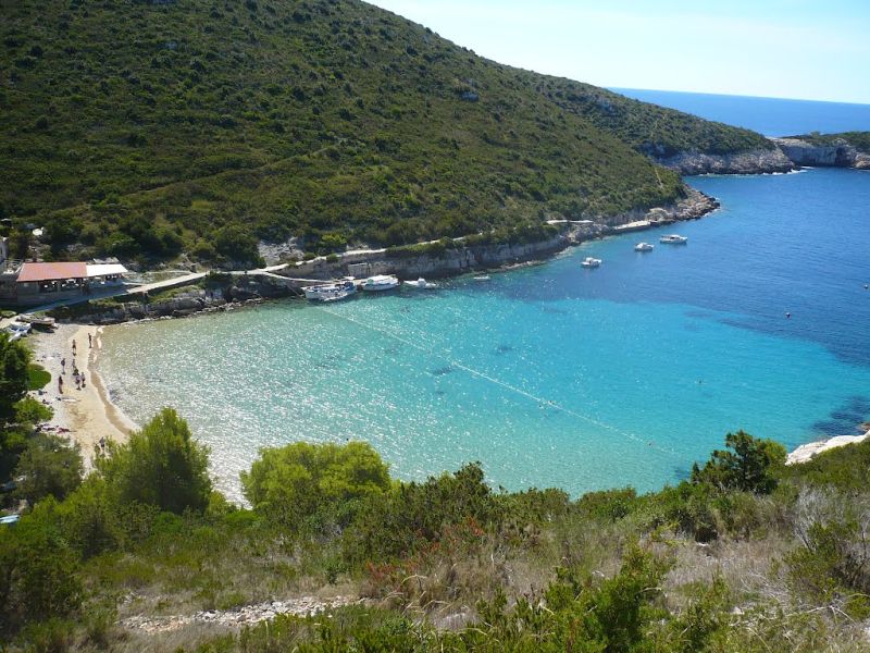 Porat